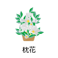 枕花